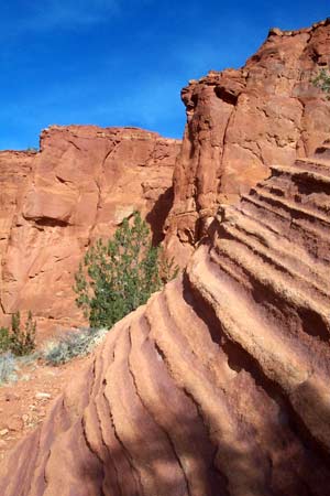 Jemez Mountains